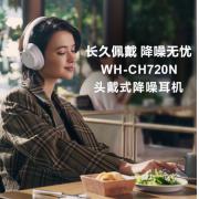 索尼（SONY）WF-C500 真无线蓝牙耳机 IPX4 防水防汗 白色